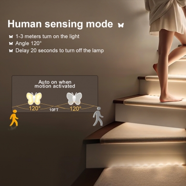 LED室内灯 - HCP258  蝴蝶三色人体感应灯